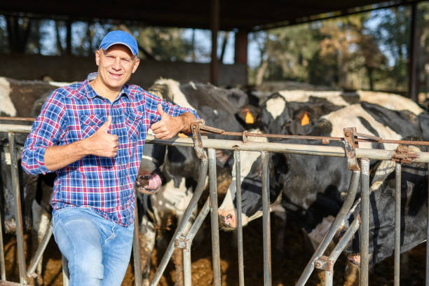 istock Portrait of a man on livestock ranches. 1204424099