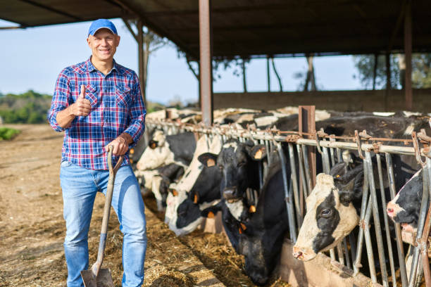 istock Portrait of a man on livestock ranches. 1204424747