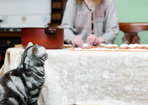 A cat sitting next to a kitchen table, while a woman is busy with pastry