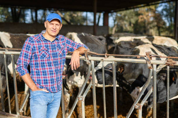 istock Portrait of a man on livestock ranches. 1204425556