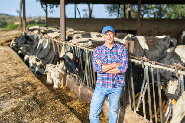 istock Portrait of a man on livestock ranches. 1204426344