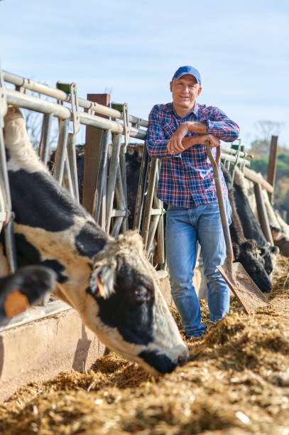 istock farmer man at farm with dairy cow 1204426554