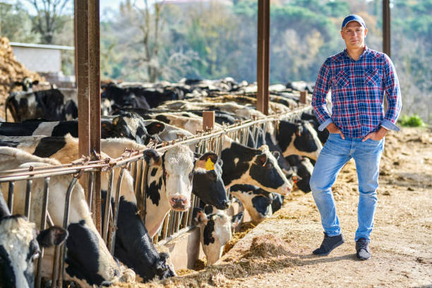 istock farmer man at farm with dairy cow 1204428160