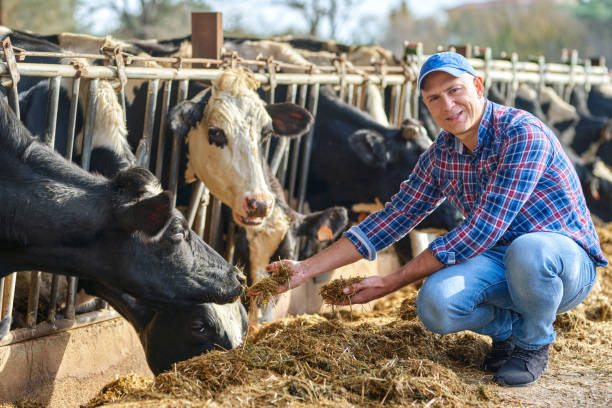 istock Portrait of a man on livestock ranches. 1204428251