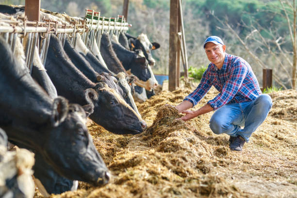 istock Portrait of a man on livestock ranches. 1204429371
