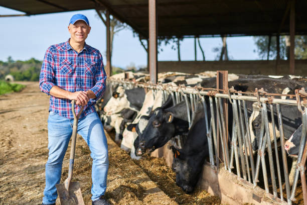 istock Portrait of a man on livestock ranches. 1204429492