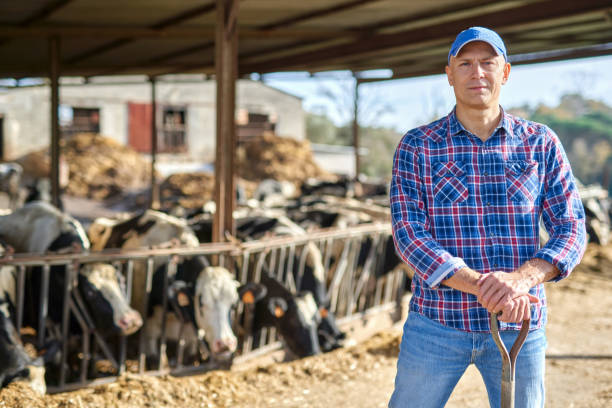 istock Portrait of a man on livestock ranches. 1204429531