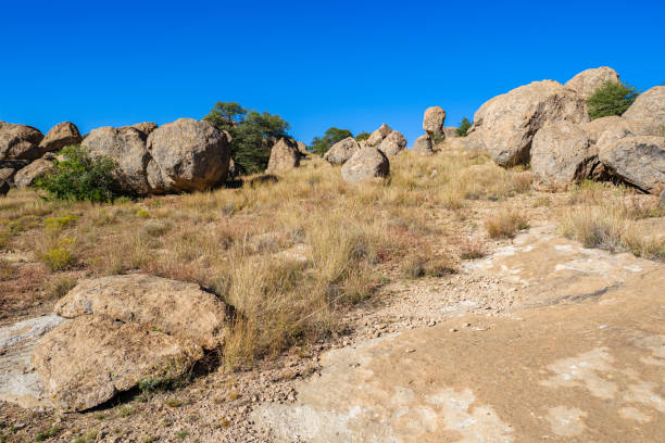 istock New Mexico Volcanic Rocks 1204429839