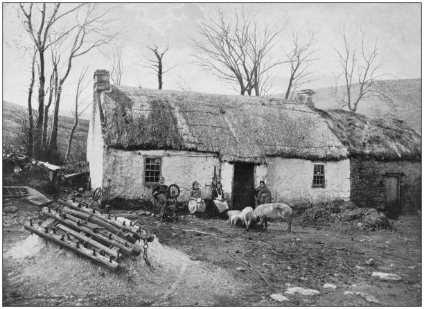 ilustrações, clipart, desenhos animados e ícones de foto antiga do império britânico: fazenda irlandesa no condado de donegal - irish culture fotos