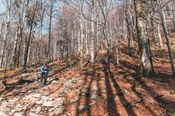 istock The tourist climbs the hill 1204431947