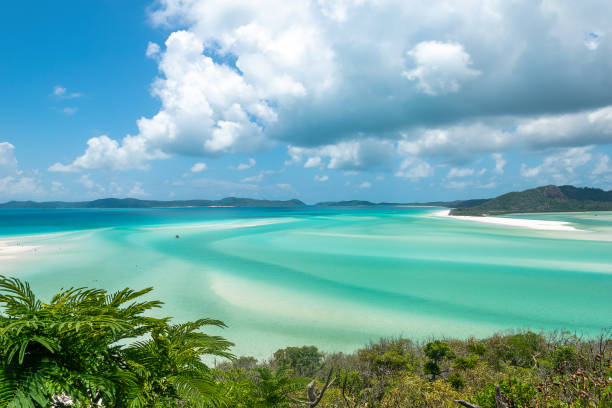 Whitsunday Islands, Queensland, Australia Whitsundays, Queensland, Australia - February 5, 2020: A view of the beach at Whitsunday Island. unesco world heritage site photos stock pictures, royalty-free photos & images