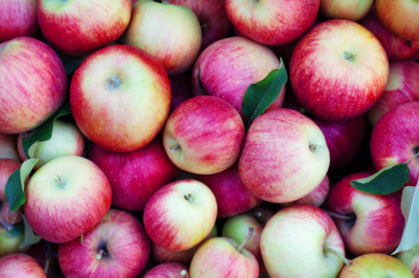 istock Flat lay pattern with lots of juicy apples. 1204433548
