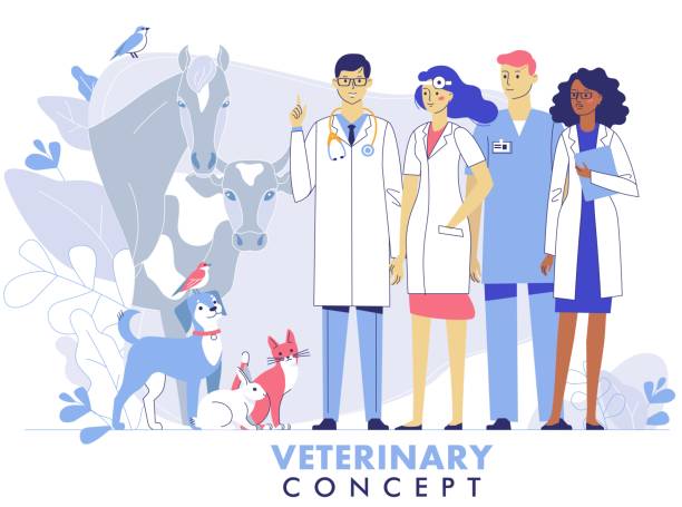 ilustraciones, imágenes clip art, dibujos animados e iconos de stock de concepto veterinario con animales de ganado, mascotas y equipo médico en la clínica veterinaria. - dog pets advice women