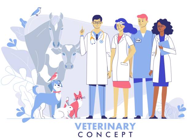 bildbanksillustrationer, clip art samt tecknat material och ikoner med veterinärkoncept med djurdjur, husdjur och läkare team i veterinärklinik. - veterinär