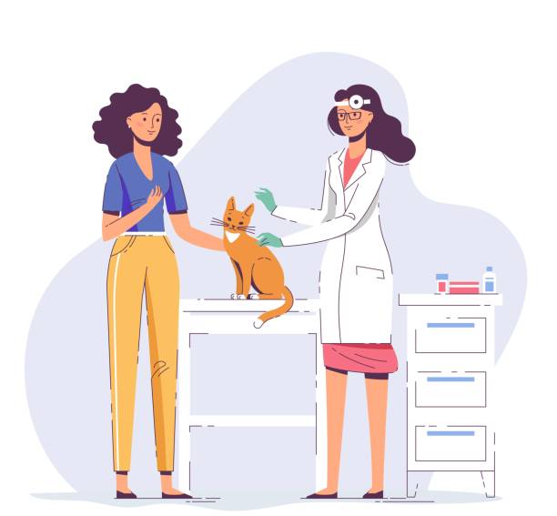 koncepcja weterynaryjna ze zwierzętami i lekarzem w klinice weterynaryjnej. - veterinary medicine illustrations stock illustrations