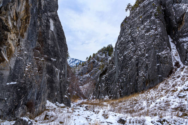 istock Mountain gorge on a winter day 1204437969