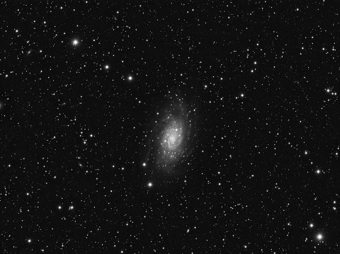 Deep sky object, NGC 2403 intermediate spiral galaxy in the constellation Camelopardalis against night starry sky. Amateur astrophotography.