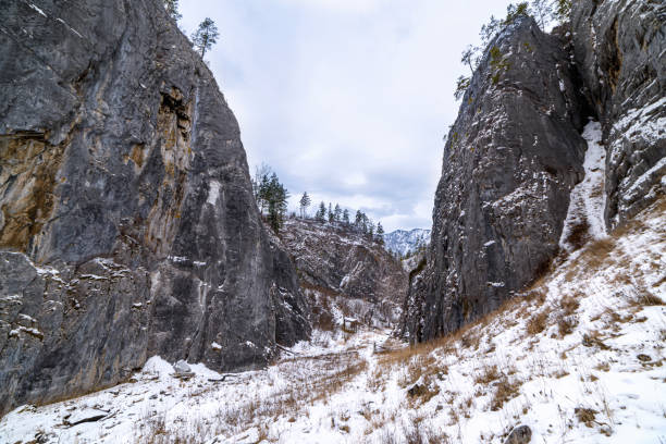 istock Mountain gorge on a winter day 1204438027