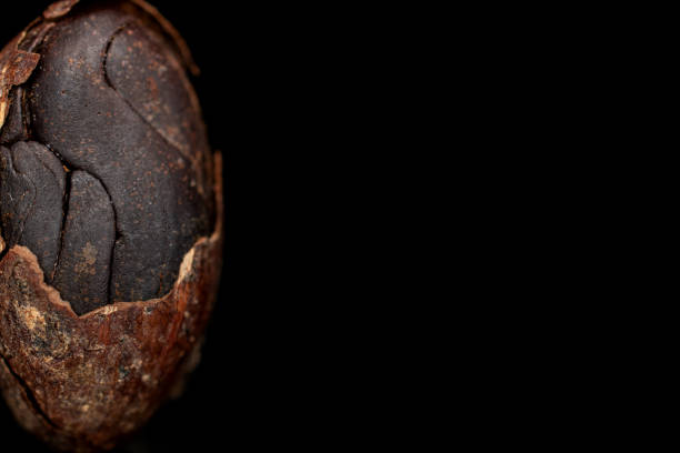 braune kakaobäube isoliert auf schwarzem glas - friable stock-fotos und bilder