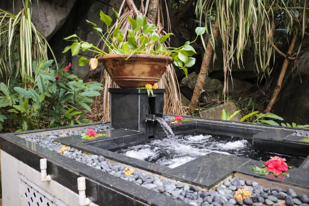 istock wellness whirlpool in Jungle Spa 1204442922