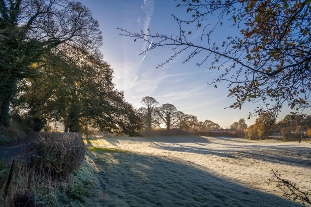 istock English winter rural landscape 1204443195
