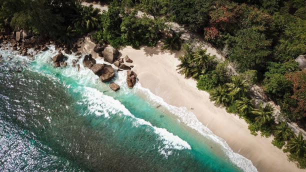 istock Tropical Beach with lagoon and Palm trees 1204443402