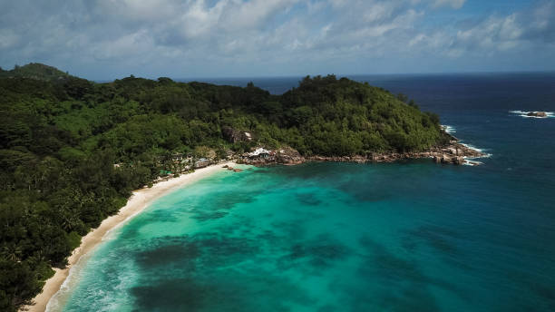 istock Tropical Beach with in Seychelles and Palm trees 1204443427