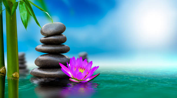 istock Spa massage, natural alternative treatment (Hot stone massage) 1204444573