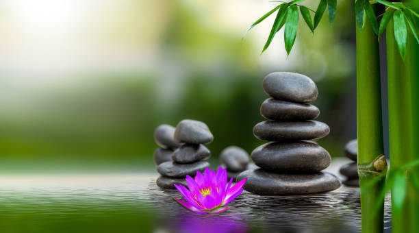 istock Spa massage, natural alternative treatment (Hot stone massage) 1204444575