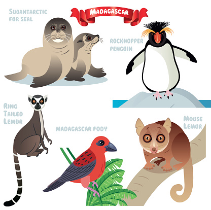 vector MADAGASCAR ANIMALS