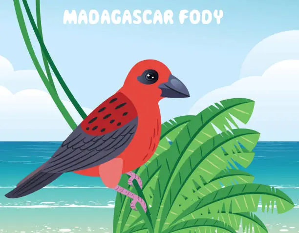 Vector illustration of Red Madagascar Fody, Red Fody