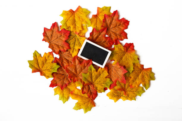 istock mini blackboard on maple leaf and free space for text with white background. 1204446940