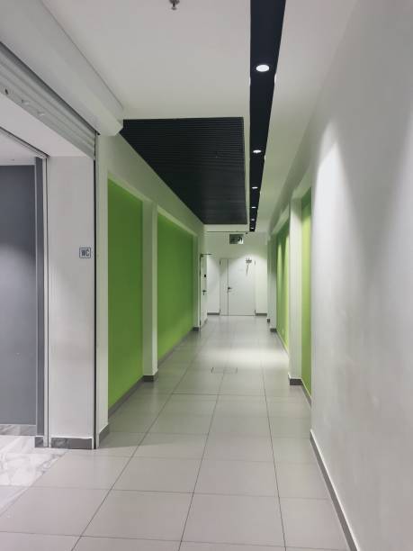 istock Corridor with doors. Design. Green and white colours 1204447316