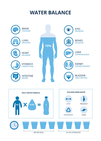 Water balance infographics set with human body and internal organs icons, vector illustration isolated on white background. Medical educational banner with charts.