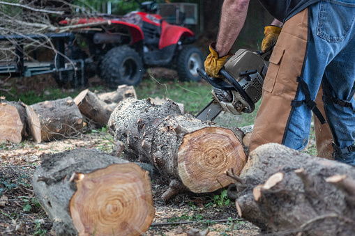 Logger lumberjack cutting logs with chainsaw. Quad in the background.