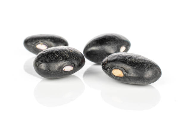 istock Dried black bean isolated on white 1204450757