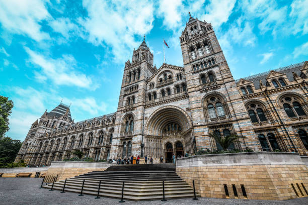 People In Front Of London National History Museum London, UK - August 10, 2019: The front entrance of London's National History Museum historical museum stock pictures, royalty-free photos & images
