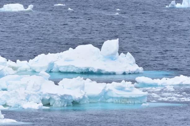istock Icebergs, Snow, and Mountains 1204451906