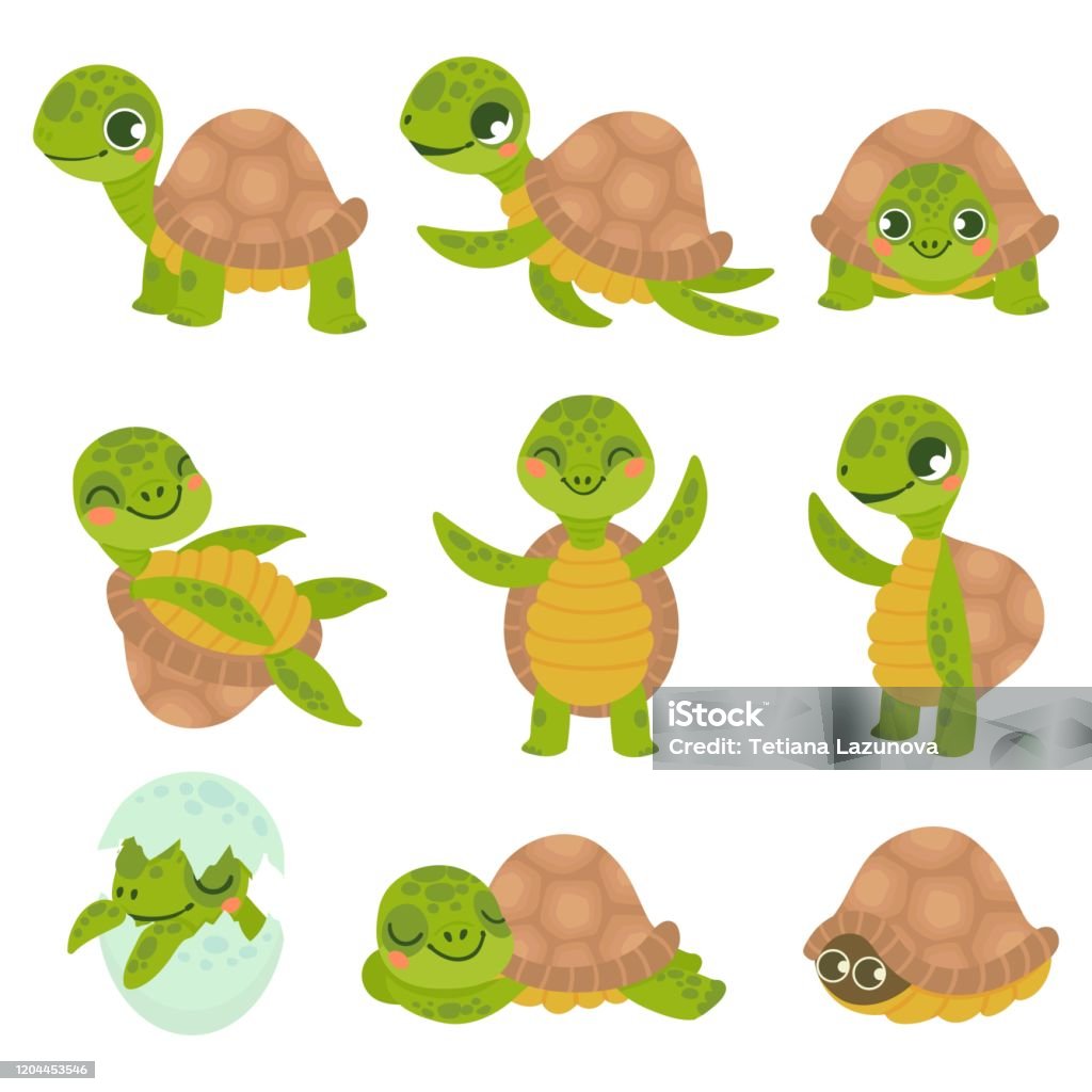 Ilustración de Tortuga Sonriente De Dibujos Animados Pequeñas Tortugas  Divertidas Caminar Y Nadar Animales De Tortuga Conjunto Vectorial y más  Vectores Libres de Derechos de Dermoquélidos - iStock