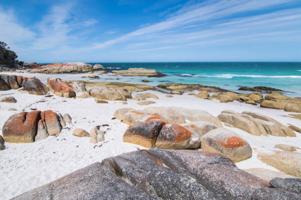 istock Rock formations at the Bay of Fires 1204455373
