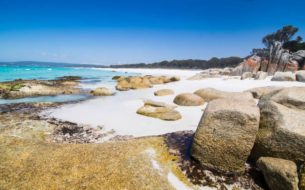 istock Rock formations at the Bay of Fires 1204455549