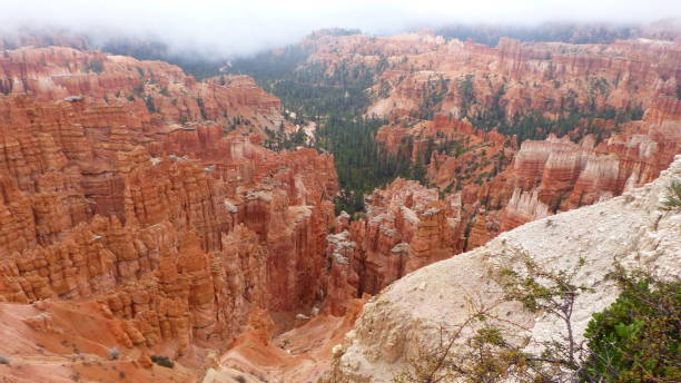 istock Amphitheater in the Bryce Canyon National Park 1204458539