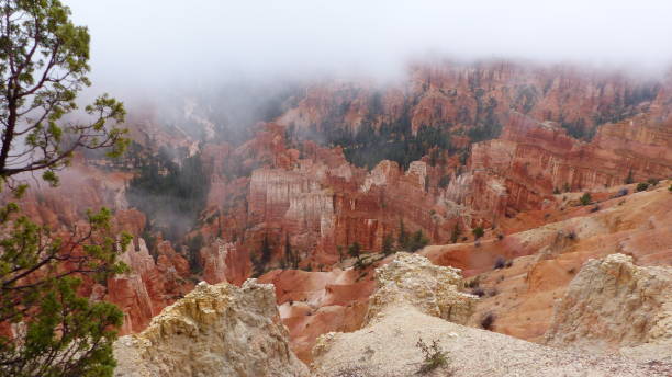 istock Fog in Bryce Canyon National Park in Utah 1204458633