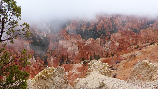 Dense fog over a natural amphitheater in Bryce Canyon National Park. View from the demolition edge to the bizarre columns of colored erosional rock. Breathtaking landscape in Utah, United States.
