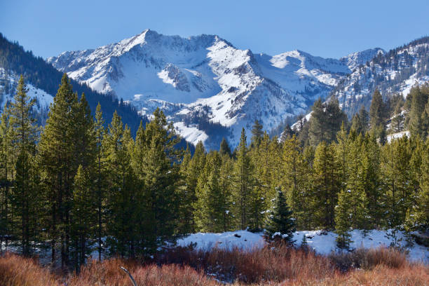 istock Snowy Mountain Peak - Idaho 1204459905