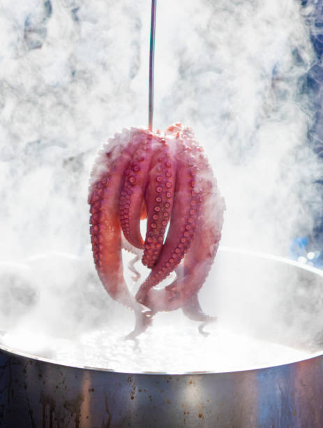 Pulpo a feira - boiled octopus in fair stock photo