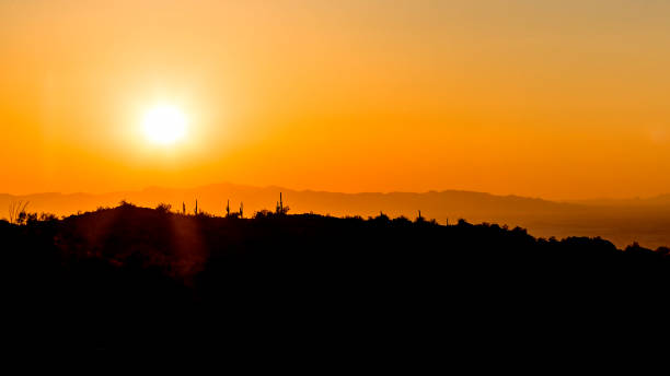 istock Desert sunset near Phoenix, Arizona 1204461160