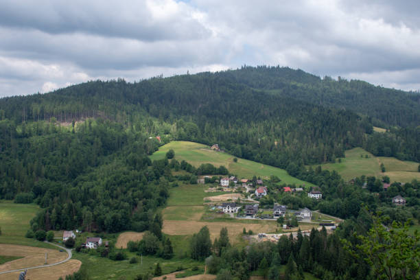 Lake in Żywiec. A landscape Milowka. Mountains landscape in the Silesian Beskids. CoolLake in Żywiec. A landscape of mountains at the lake równina stock pictures, royalty-free photos & images