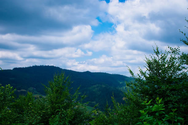 Lake in Żywiec. A landscape Milowka. Mountains landscape in the Silesian Beskids. CoolLake in Żywiec. A landscape of mountains at the lake równina stock pictures, royalty-free photos & images