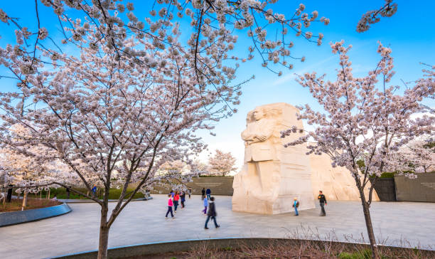 MLK Memorial in DC Washington DC, USA - April 10, 2015: Visitors observe the Martin Luther King Jr. Memorial during spring season in West Potomac Park. The work was created by Lei Yixin and opened to the public August 22, 2011. martin luther king jr memorial stock pictures, royalty-free photos & images
